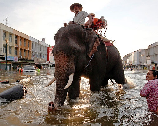 Flooded area in Ayutthaya province (Reuters)